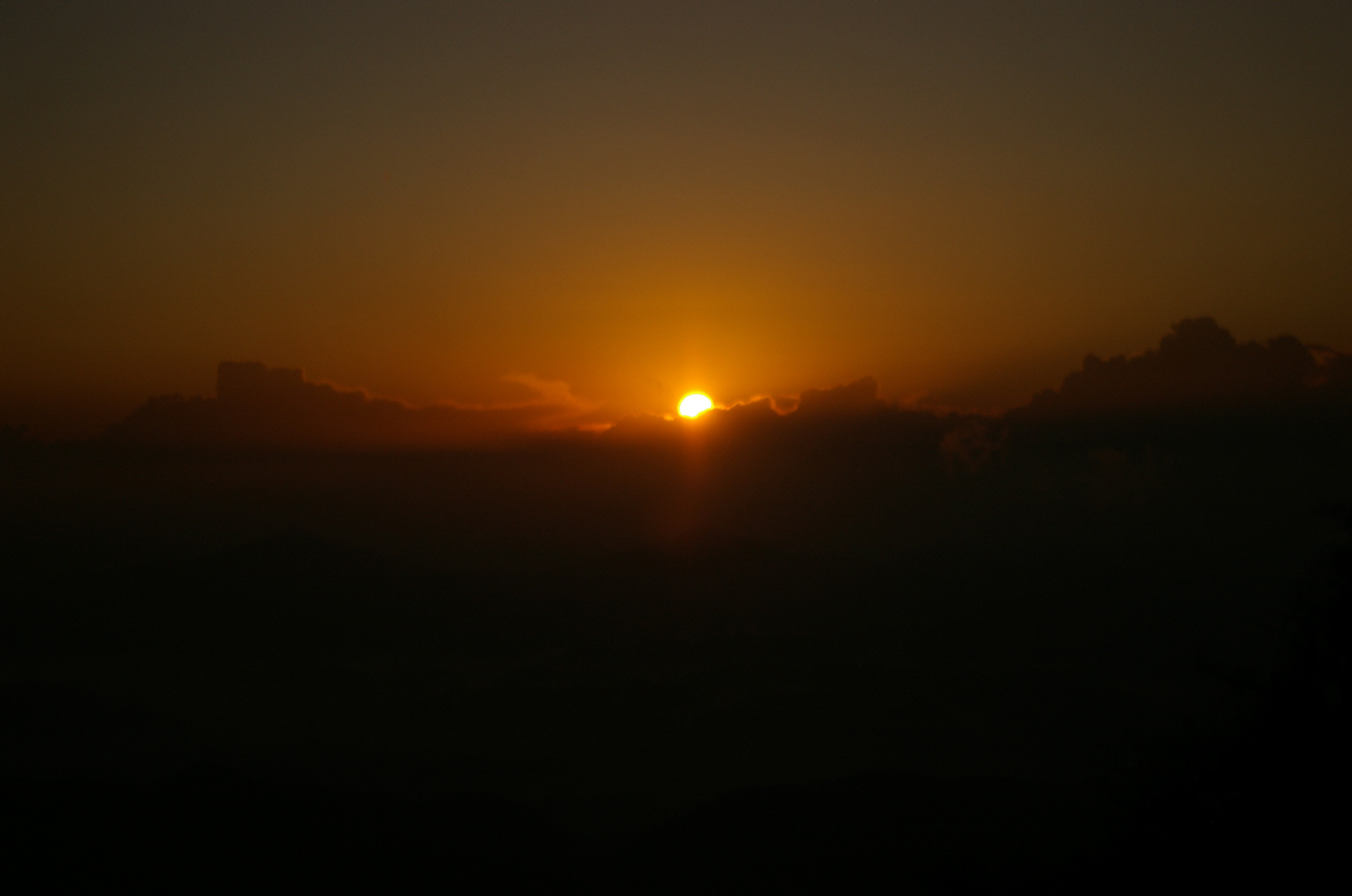 20091110101.JPG