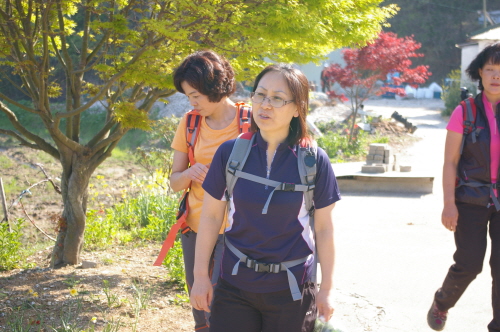 20120505-11.jpg