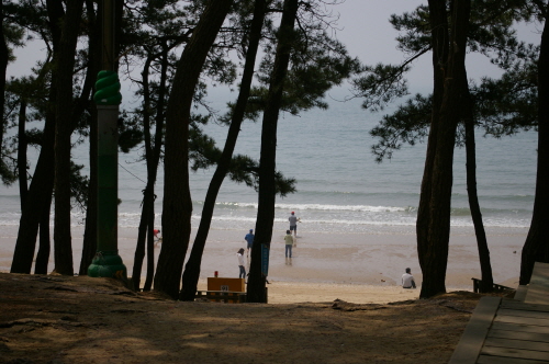 20120505-2.jpg