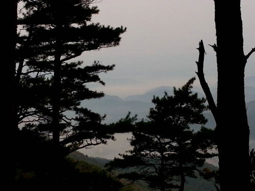 20121020-11.jpg