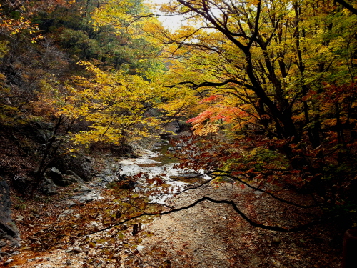 20121020-14.jpg