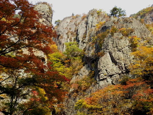 20121020-16.jpg
