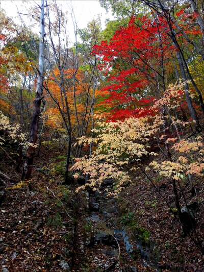 20121020-19.jpg