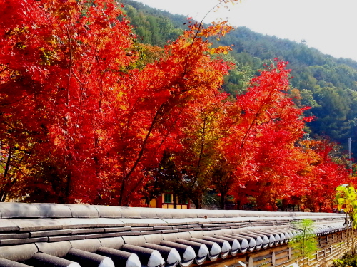 20121020-30.jpg