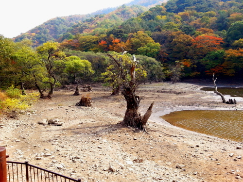 20121020-32.jpg