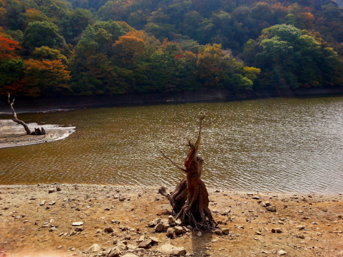 20121020-33.jpg