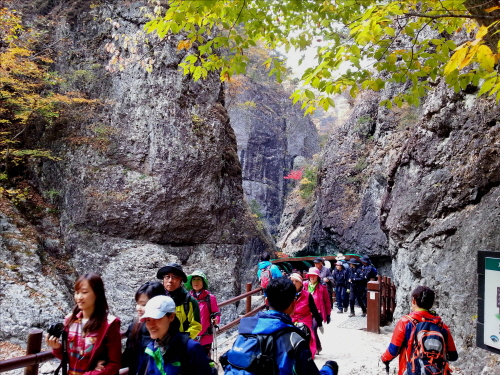20121020-6.jpg