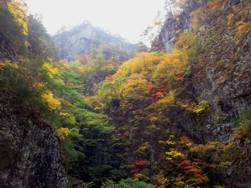 20121020-7.jpg