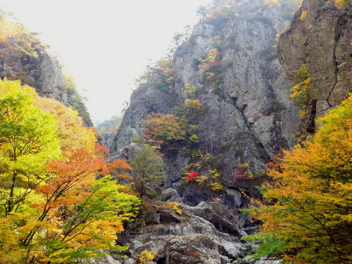 20121020-8.jpg