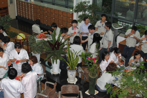 20130712-14.jpg