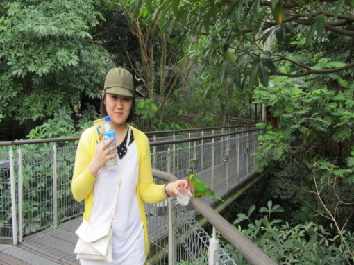 20130801-11.jpg