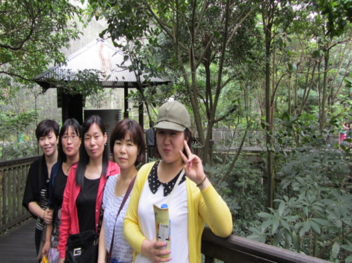 20130801-8.jpg
