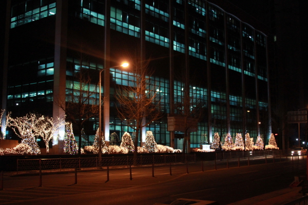 20141204-2.jpg