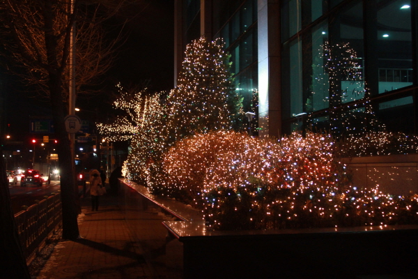 20141204-3.jpg