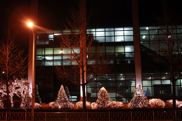20141204-5.jpg
